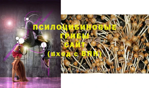шишки Касимов