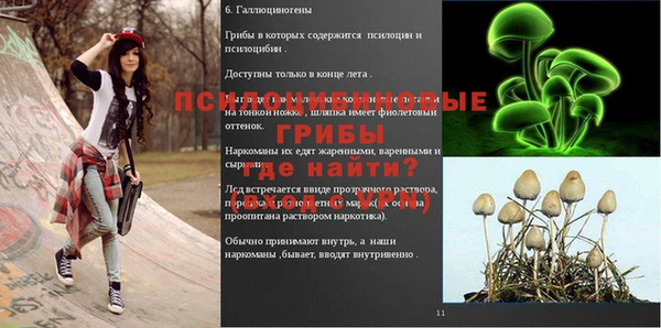 спиды Приозерск