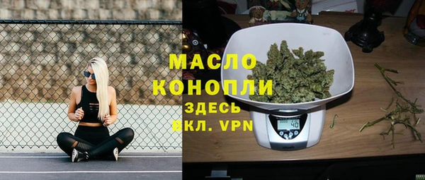 гашик Туринск