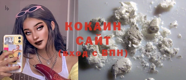 шишки Касимов